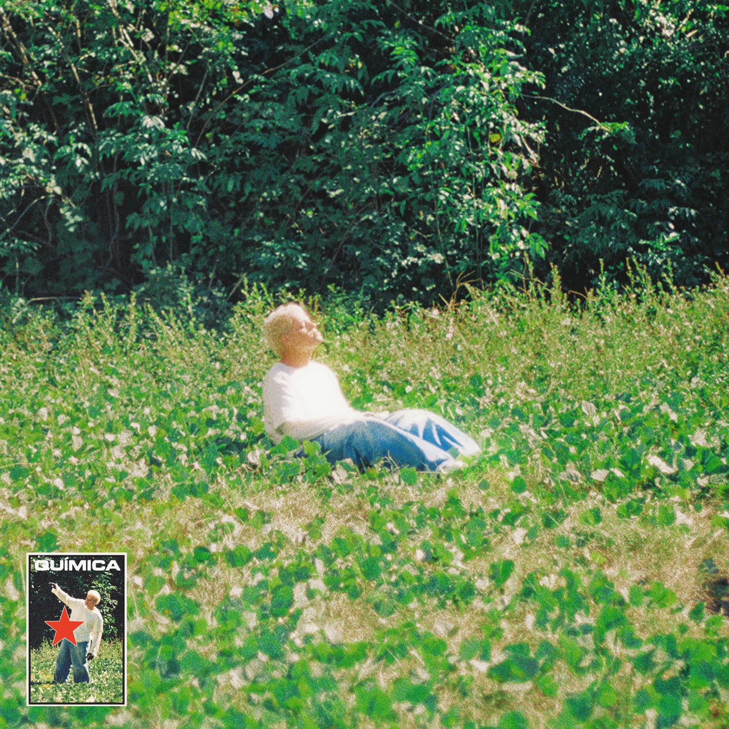 Química (Instrumental)